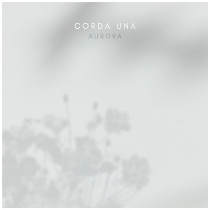 jk❌❌白丝❌❌爆乳动漫
